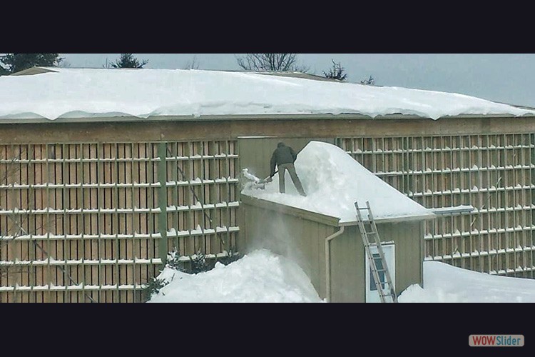 eagle-flight-cage-C