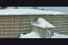 eagle-flight-cage-C