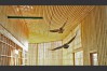 eagle-flight-cage-G
